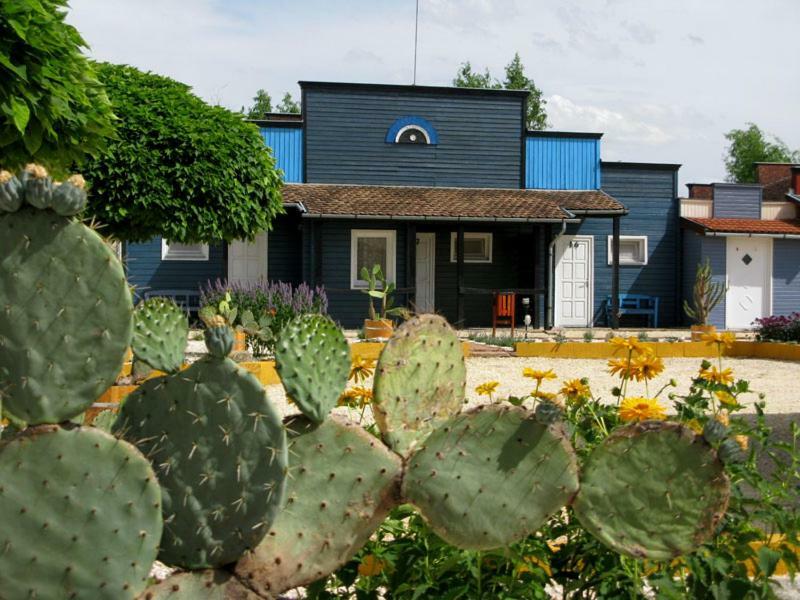 Convoy Panzio Bed & Breakfast Szajol Bagian luar foto